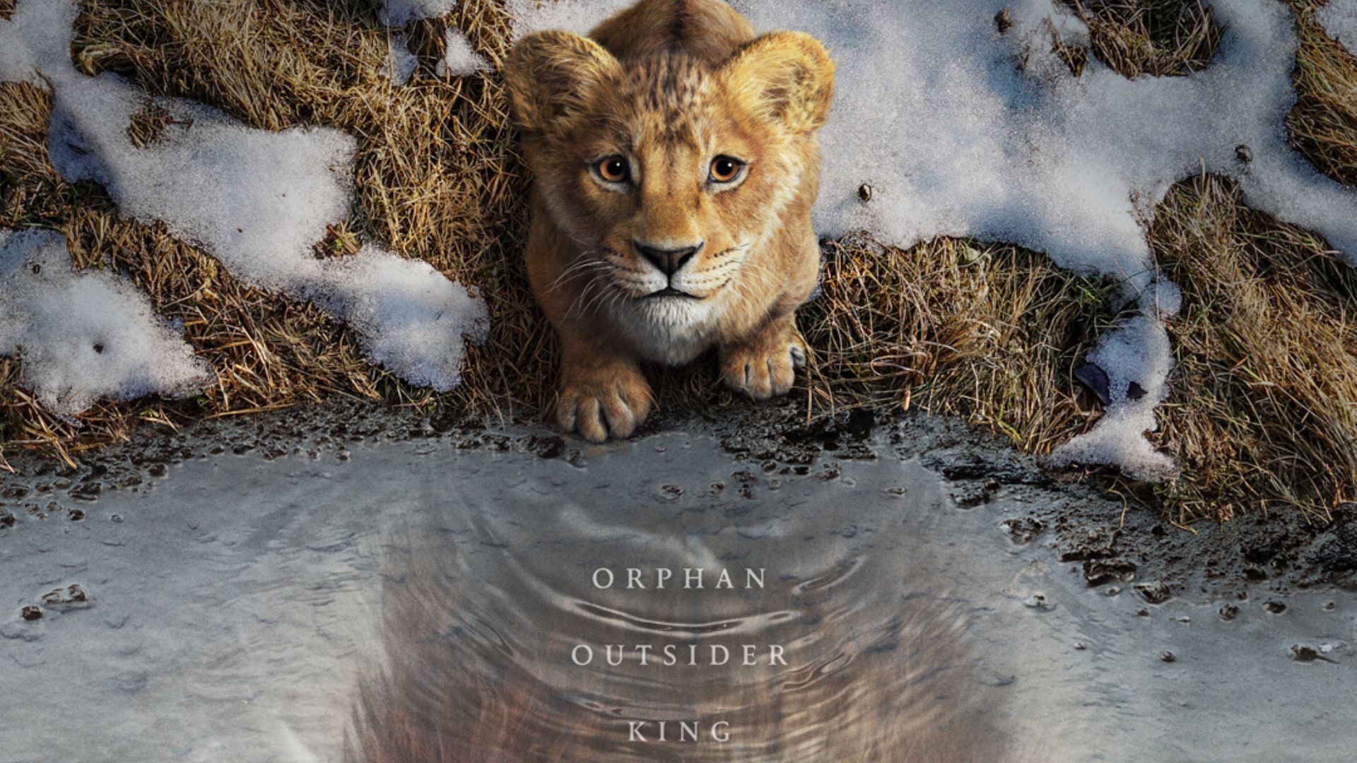 Mufasa: The Lion King Trailer: Disney's Mufasa: The Lion King will be released in cinemas on December 20, 2024.